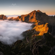 Madeira